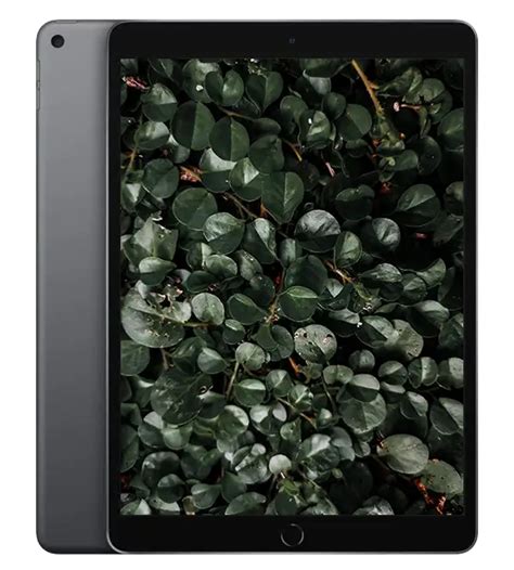 Begagnad iPad Air 3 (2019) 4G med 2 års garanti | Refurbly