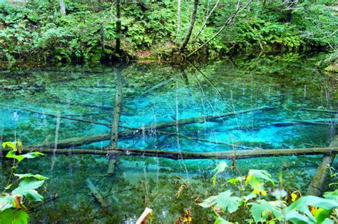 Tempat Wisata Di Hokkaido Jepang Dan Kulinernya Tempatwisataunik