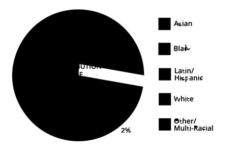 Racialized Ethnic Minoritized Groups The Immigration Initiative