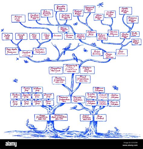 The Guggenheim family tree. Descendants of a Swiss Jew named Meyer ...