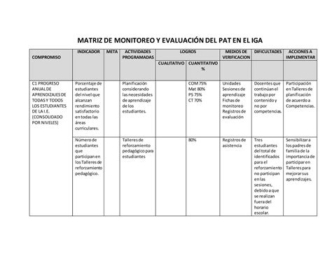 395845614 Matriz De Monitoreo Y Evaluacion Del Pat En El Iga PPT