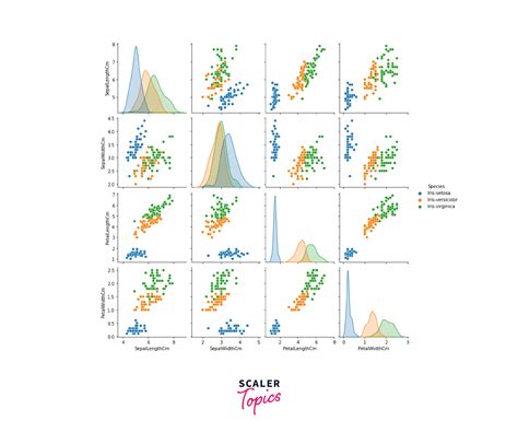 Iris Dataset Project Scaler Topics