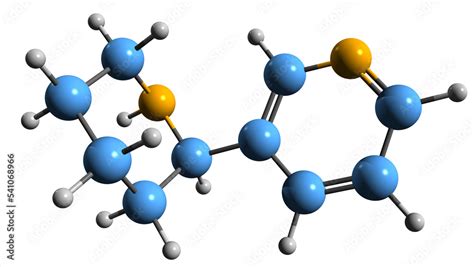 3D image of Anabasine skeletal formula - molecular chemical structure ...