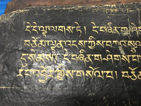 1293 Antique Tibetan Handwritten Manuscript In Gold On Black