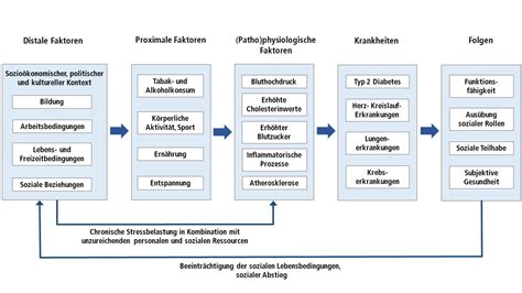 Bzga Leitbegriffe Risikofaktoren Und Risikofaktorenmodell