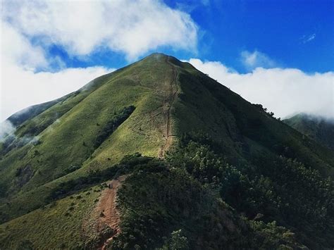 Top 15 Must Visit Munnar Tourist Places Munnar Insider Travel Blog