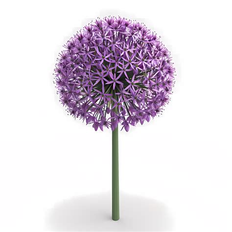 Allium Giganteum Others Png Clipart Royalty Free Svg Png