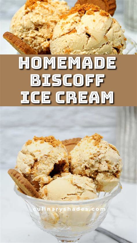 Biscoff Ice Cream Culinary Shades Recipe In 2024 Ice Cream Maker