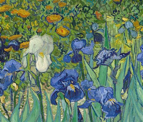 Vincent Van Gogh S Irises A Closer Look Draw Paint Academy