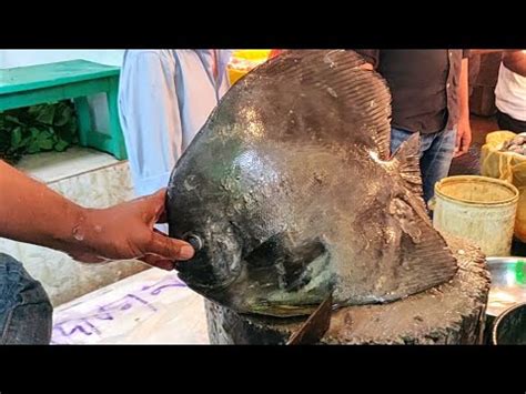 Incredibly Big Black Pomfret Cutting Skills By Bangladeshi Fisherman