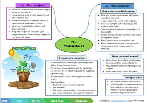 Grade 6 Natural Sciences Technology Term 1 Platinum Classroom101