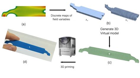 Phase Field Topology Optimization Of Functionally Graded Lattice