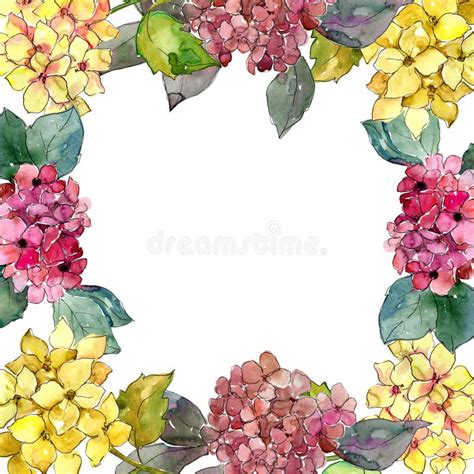 Hydrangeas Border Stock Illustrations 151 Hydrangeas Border Stock