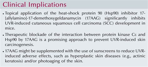 Hsp Inhibitor Can Inhibit Uv Carcinogenesis Journal Of