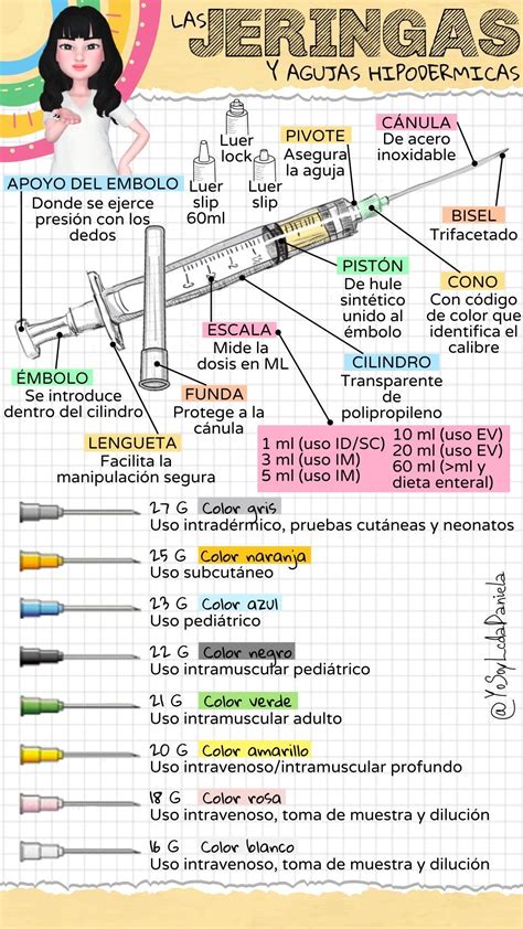 Pin On Medical Anatomy In Medical School Stuff Vet Medicine