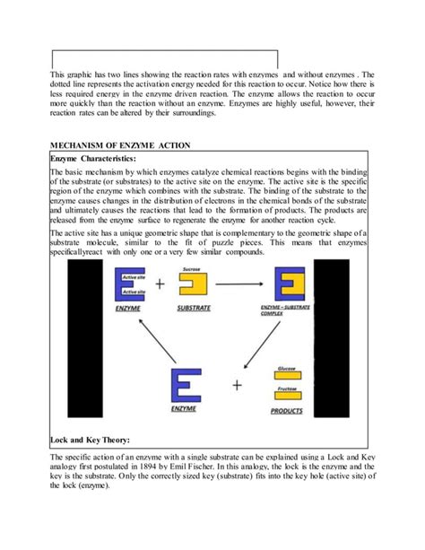 Enzyme kinetics | PDF