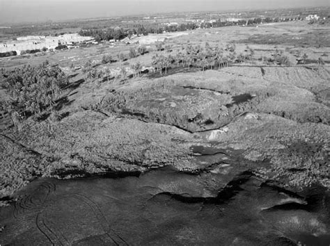 The ziggurat of Babylon today (Photo: R. Kolinski). | Download ...