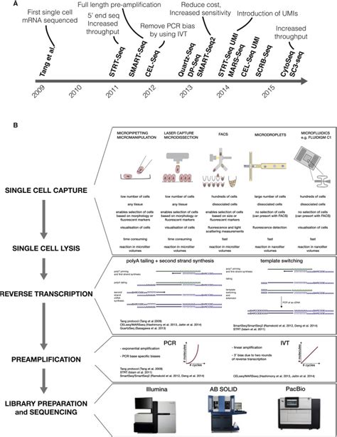 The Technology and Biology of Single-Cell RNA Sequencing | RNA-Seq Blog