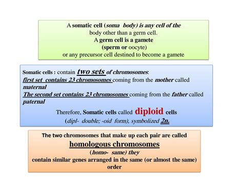 SOLUTION: Somatic cells cell division - Studypool