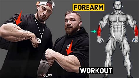 FOREARMS BEST WORKOUT IN GYM 🏋️‍♀️|| 8 FOREARMS EXERCISES🏋️‍♂️ | Forearm workout, Fun workouts ...