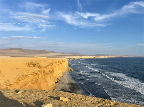 Reserva Nacional De Paracas En Bus Turístico Tours En Paracas Perú