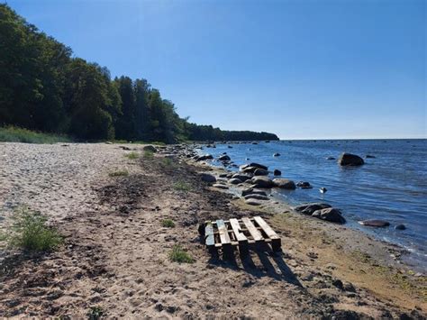 Premium Photo | The baltic sea beach in estonia