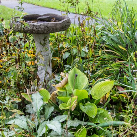 Fall Garden Maintenance - Weston Nurseries