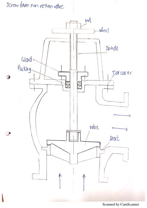 Bilge Diagram And Screw Down Valve Singapore Seafarers