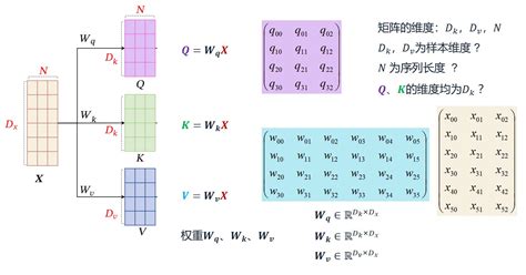 Self Attentionlearning Qkv Step By Step Hbu David