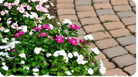 How Do You Lay Pavers In Flower Beds? | Unified Garden