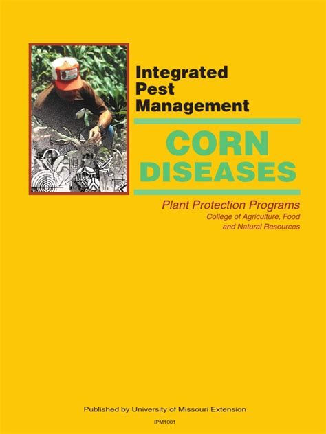 Corn Diseases | PDF