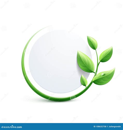 Eco-friendly designs explain the evolution of the modern shipping box 26