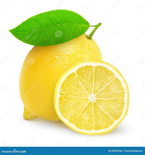 Fresh Lemon Stock Photo Image Of Fruit Isolated White 29209760