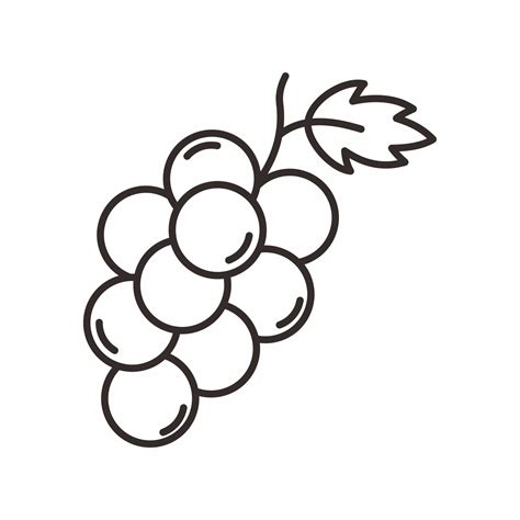grape outline style icon  vector art  vecteezy