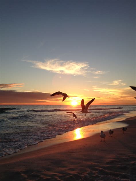 Free Images Beach Sea Coast Water Nature Sand Ocean Horizon