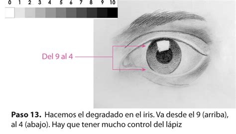 El Taller De Miguel Angel Como Dibujar El Ojo Facilmente Y Paso A Paso