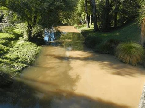 Why Is The River Brown Does It Matter Ōpāwaho Heathcote River Network