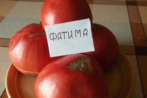 Томат Фатима: характеристика и описание среднеспелого сорта с фото
