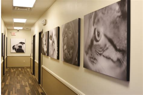 Veterinarian in Las Vegas, NV 89147 | Durango Animal Hospital