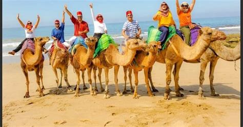 Luxury Private Tangier Tour From Malaga All Inclusive Getyourguide