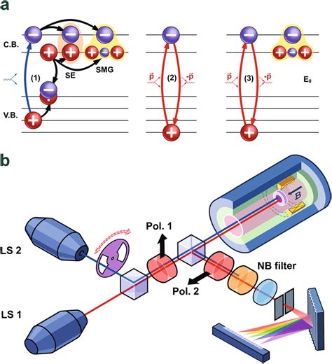 Schematic Diagram Of The Optical Setup A The Optical Processes