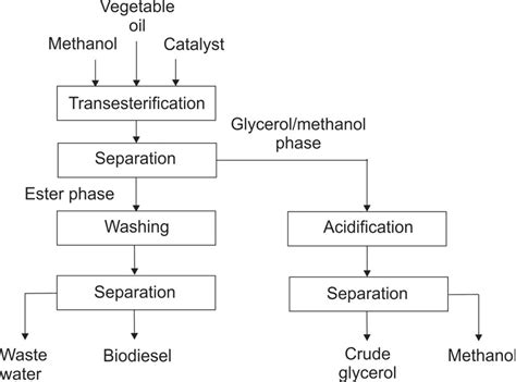 Transesterification Process For Biodiesel Production Dominic Grant