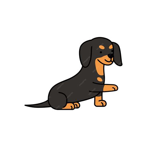 Premium Vector Cute Dachshund Dog Vector Illustration