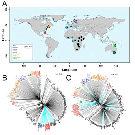 Patterns Of Nucleotide Variability And Tajima S D In The Region