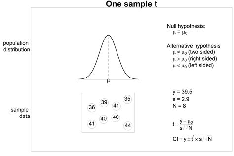 One Sample T Test For The Mean