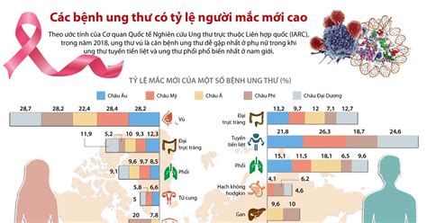 Infographics C C B Nh Ung Th C T L Ng I M C M I Cao Vietnam