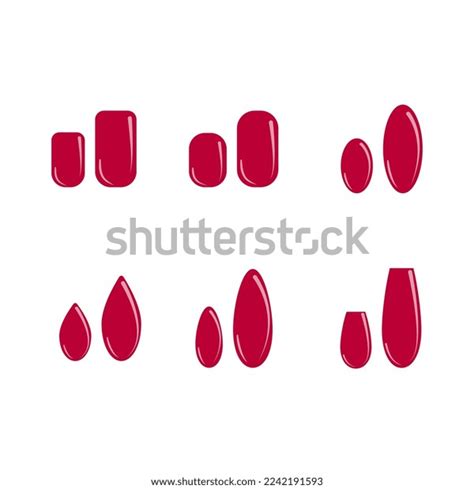 Set Different Types Fingernail Shapes Isolated Stock Vector (Royalty ...