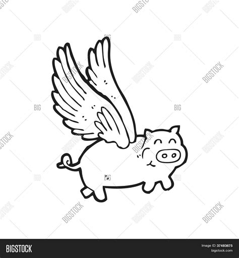 Flying Pig Cartoon Image & Photo (Free Trial) | Bigstock