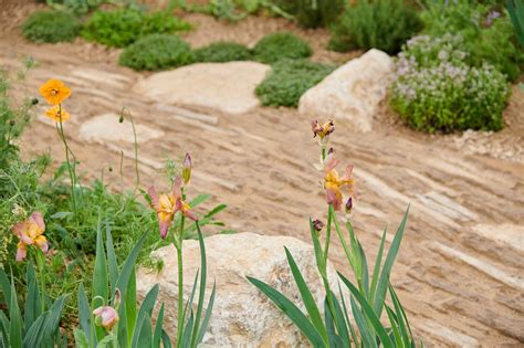 The Choose Love Garden Rhs Chelsea Flower Show 2023 — Planty Projects