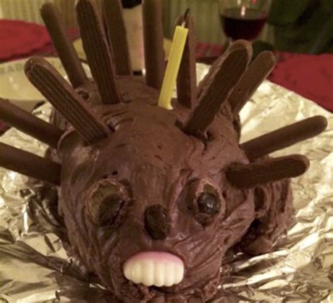 Cursed Hedgehog Cake